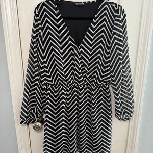 Express Long Sleeve Dress